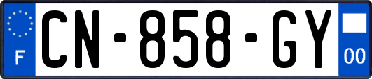 CN-858-GY