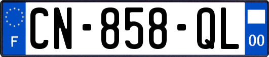 CN-858-QL