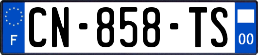 CN-858-TS