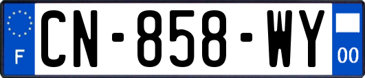 CN-858-WY
