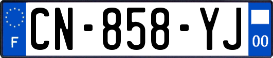 CN-858-YJ