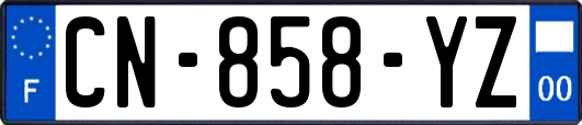 CN-858-YZ