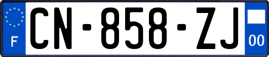 CN-858-ZJ