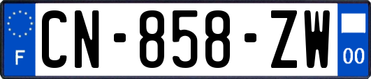 CN-858-ZW