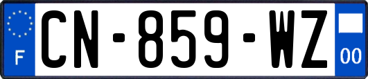 CN-859-WZ