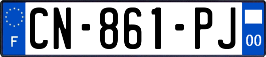 CN-861-PJ