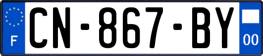 CN-867-BY