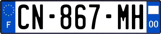 CN-867-MH