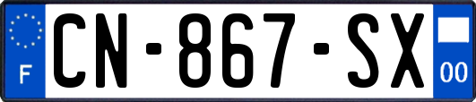 CN-867-SX