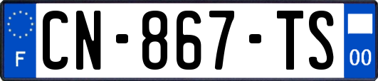 CN-867-TS