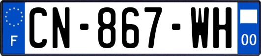 CN-867-WH