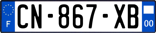 CN-867-XB