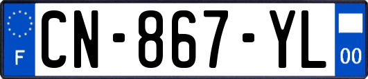 CN-867-YL