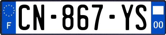 CN-867-YS