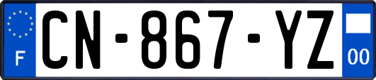 CN-867-YZ