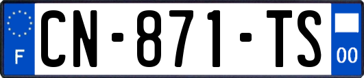 CN-871-TS