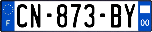 CN-873-BY