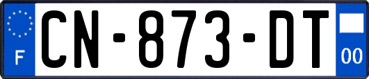 CN-873-DT