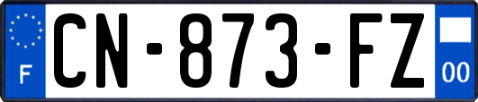 CN-873-FZ
