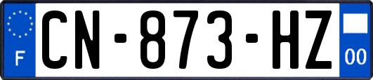 CN-873-HZ