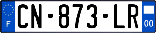 CN-873-LR