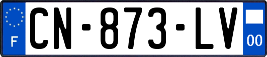 CN-873-LV