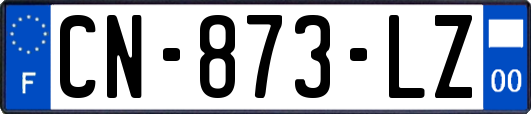 CN-873-LZ