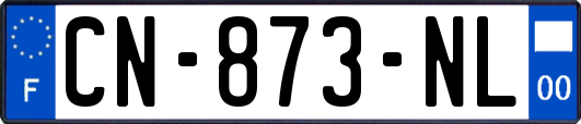 CN-873-NL