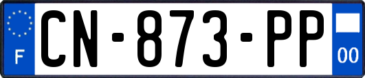 CN-873-PP