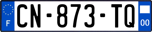 CN-873-TQ