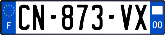 CN-873-VX