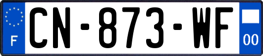 CN-873-WF