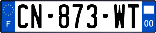 CN-873-WT