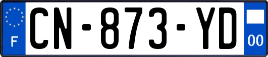CN-873-YD