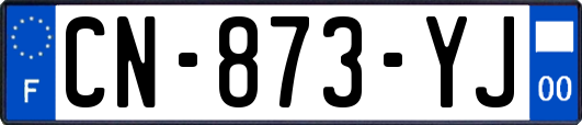 CN-873-YJ