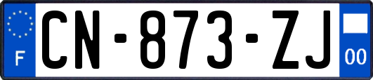 CN-873-ZJ