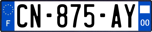 CN-875-AY