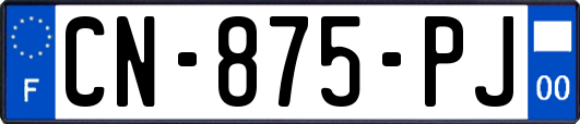 CN-875-PJ