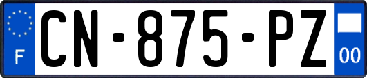 CN-875-PZ
