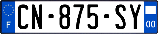CN-875-SY