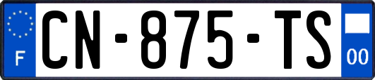 CN-875-TS