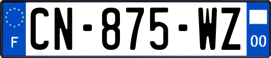 CN-875-WZ