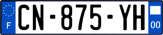 CN-875-YH