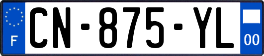 CN-875-YL