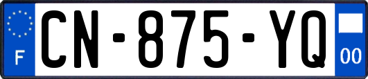 CN-875-YQ