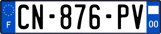CN-876-PV