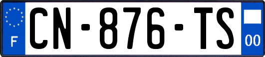 CN-876-TS