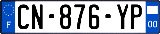 CN-876-YP