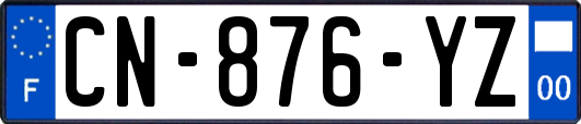 CN-876-YZ