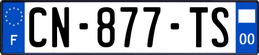 CN-877-TS